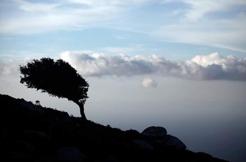 Ikaria Studios Manganítis Dış mekan fotoğraf