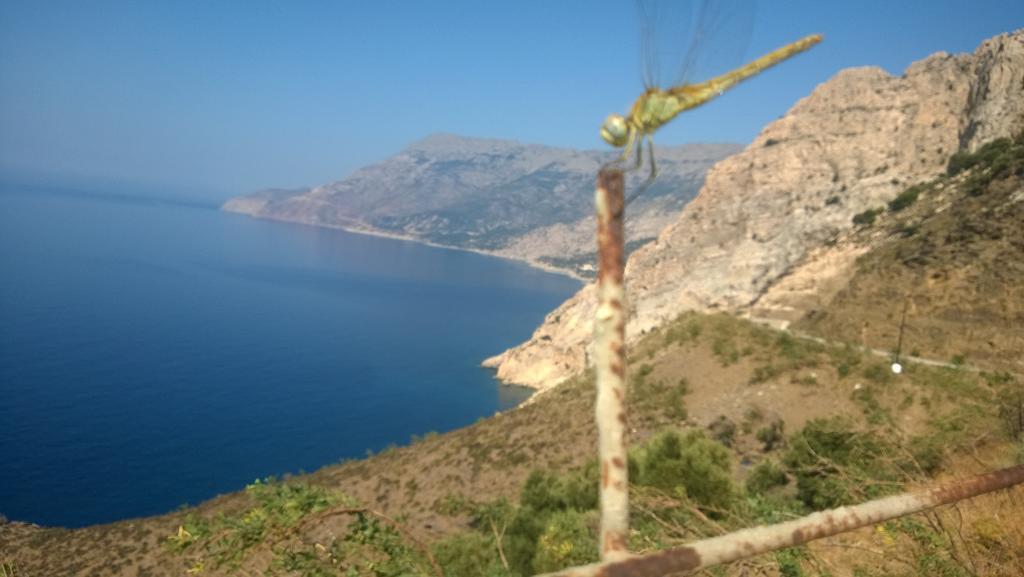 Ikaria Studios Manganítis Dış mekan fotoğraf