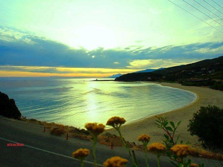 Ikaria Studios Manganítis Dış mekan fotoğraf